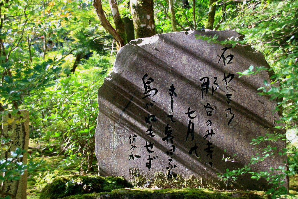 柔らかな日差し