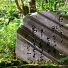 柔らかな日差し