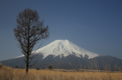 荒野に立つ