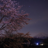 幻桜
