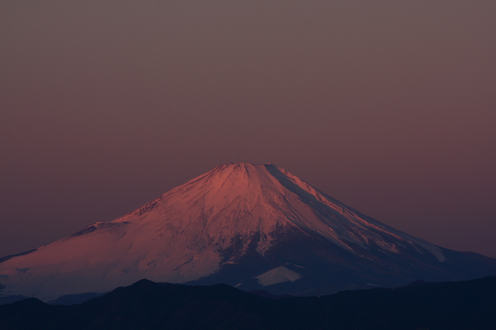 紅