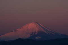 紅