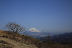 青空