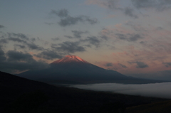 秋の紅