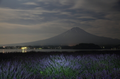 夜に香る