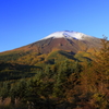 黄葉の朝