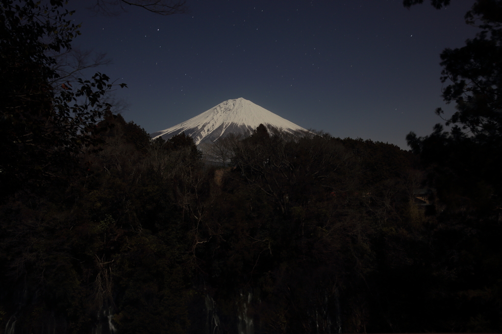 夜の白糸