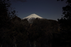 夜の白糸