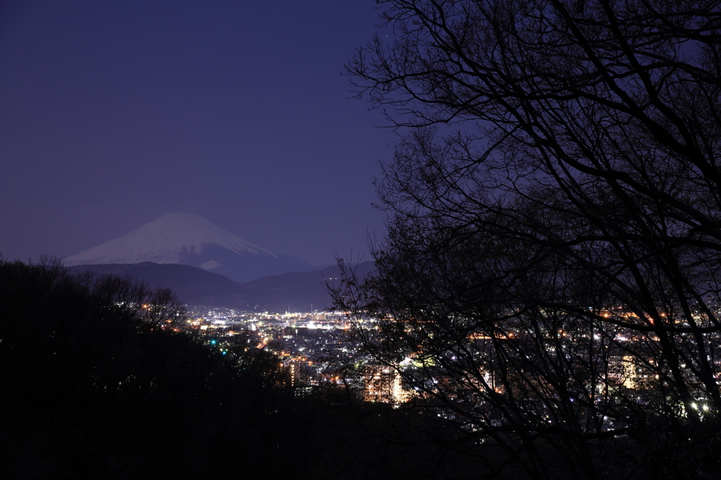 月夜に浮かぶ