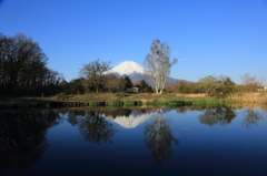 春の朝