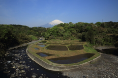 里山の息吹