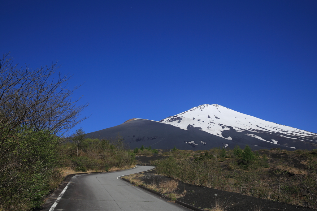 霊峰へ