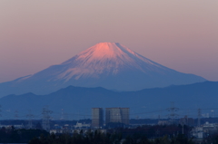 初富士