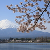 春の朝