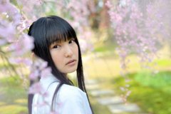 桜の頃