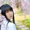 桜の頃