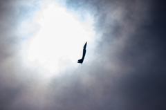 静浜航空祭 F-15②