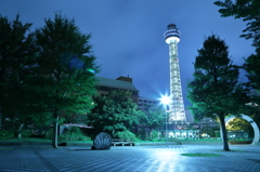 Yokohama Night　Blue