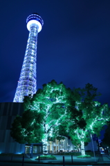 Blue and Green