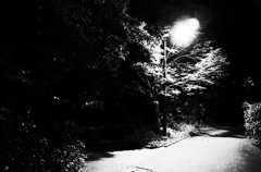 光芒Ⅱ