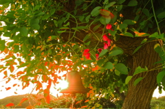 花と鐘