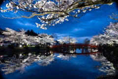 涼ヶ岡八幡神社