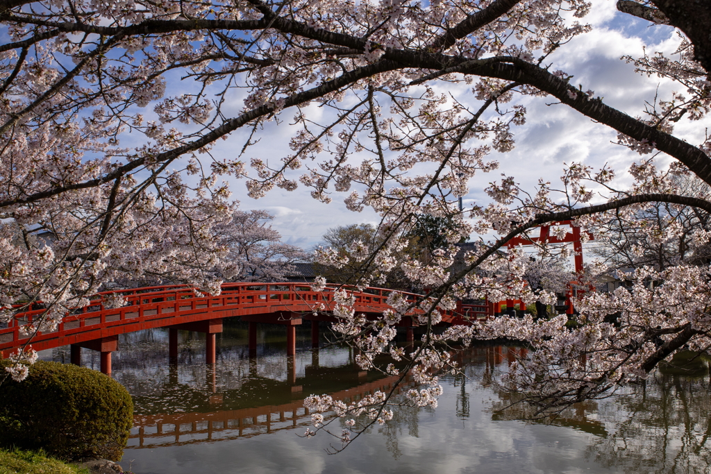 涼ヶ岡八幡神社