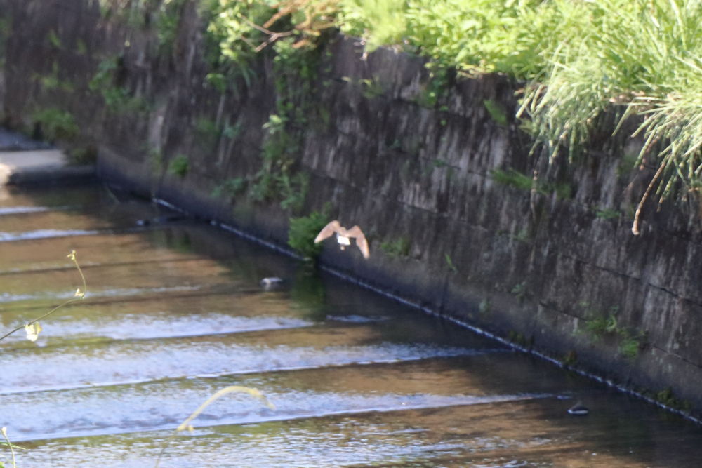教えて下さい