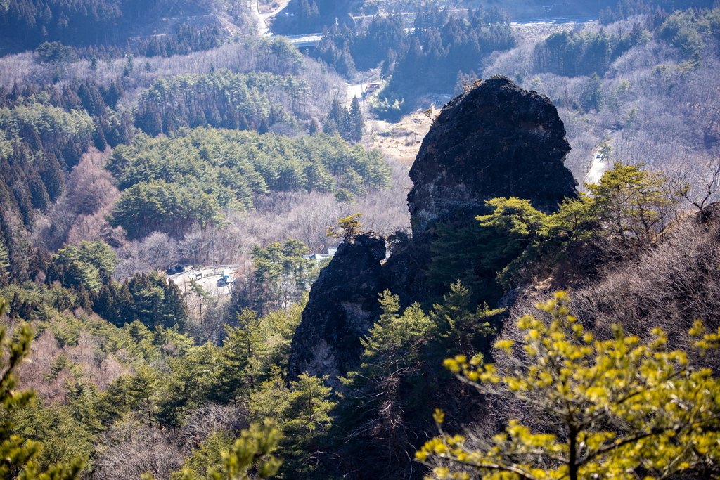 ゴリラ岩