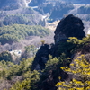 ゴリラ岩