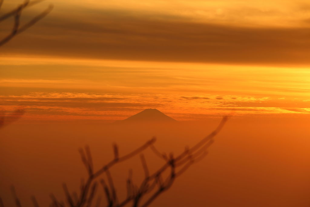 夕暮れの富士