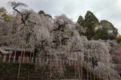 小川諏訪神社