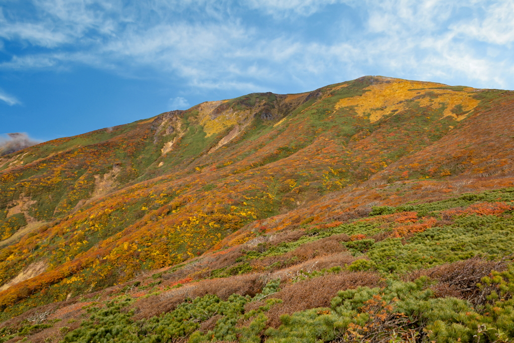 栗駒山