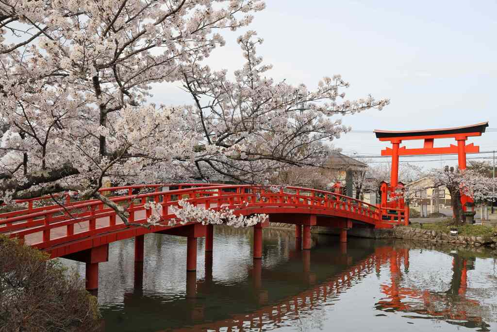 涼ヶ岡八幡神社