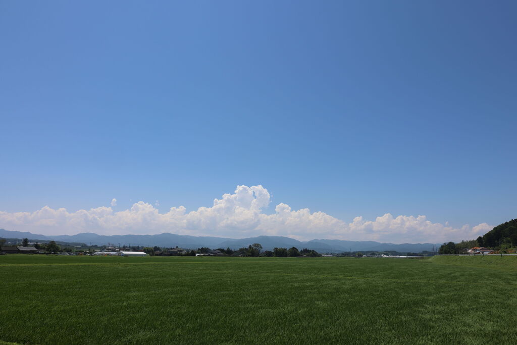 夏空