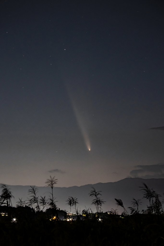 紫金山・アトラス彗星
