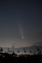 紫金山・アトラス彗星