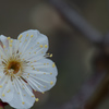 DSC_2565-8