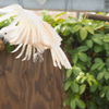 DSC04351-34