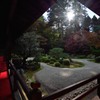 曼殊院の朝のお庭