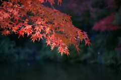 DSC04586