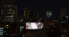 夜のシュワちゃん