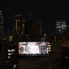 夜のシュワちゃん