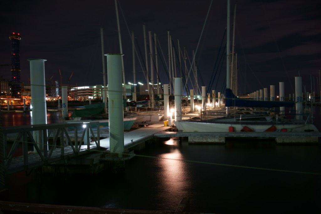 DSC05447