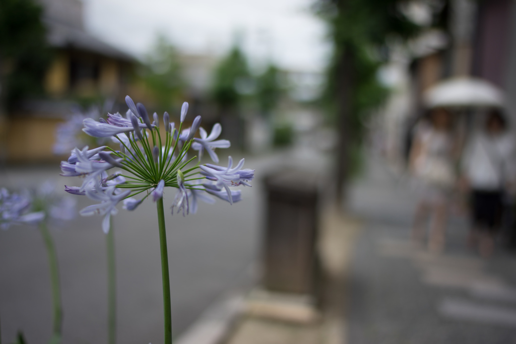 DSC08980-1