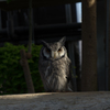 DSC06058-2-23
