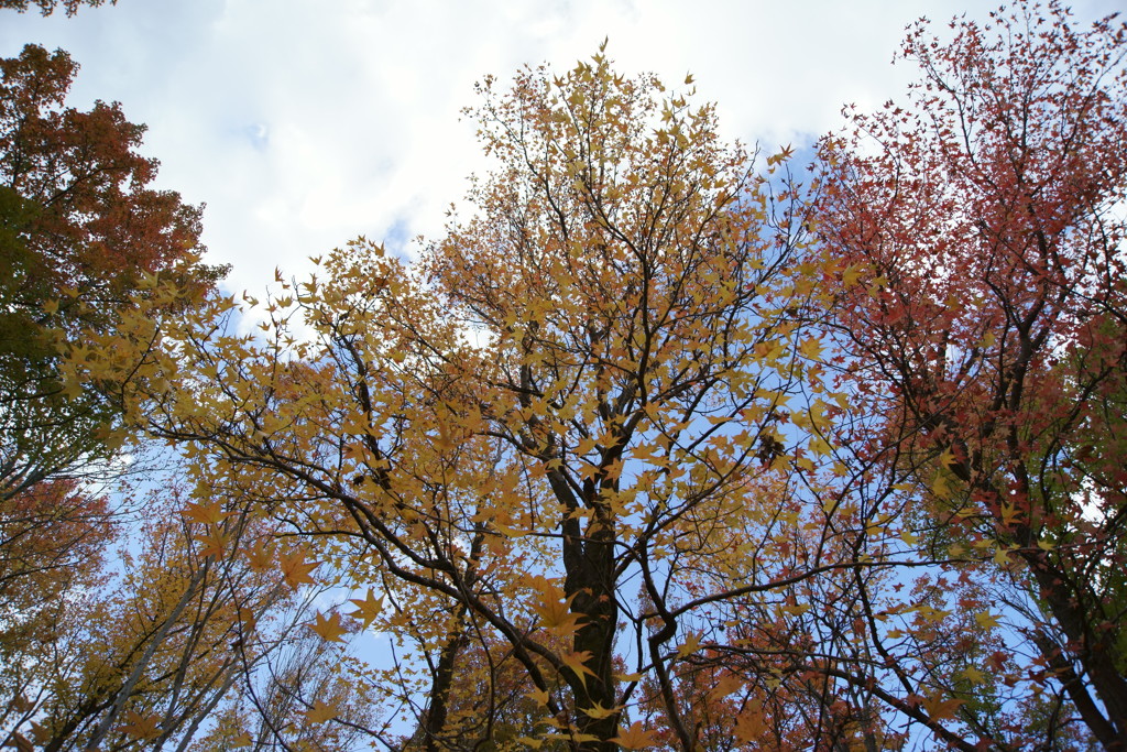 DSC04634