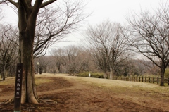 舞岡公園