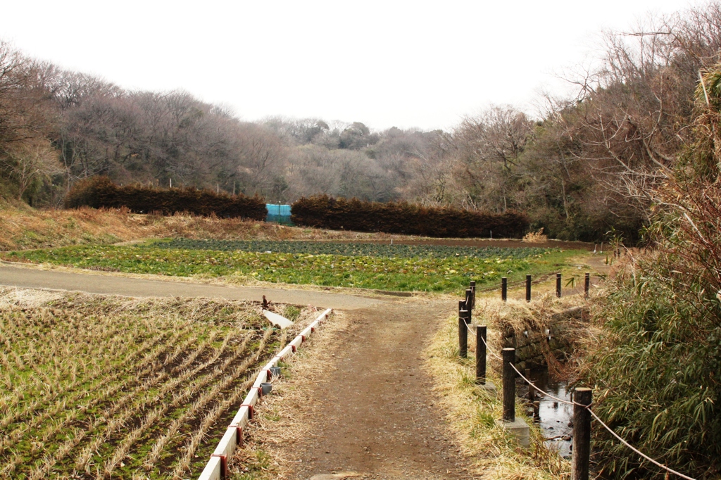 懐かしい風景