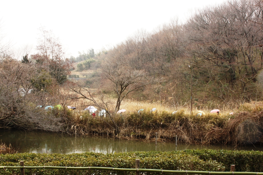 懐かしい風景